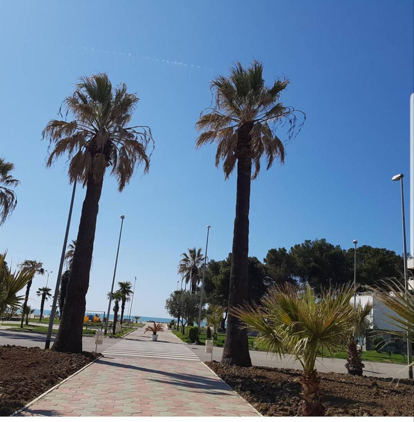 Lägenhet Amaris Durrës